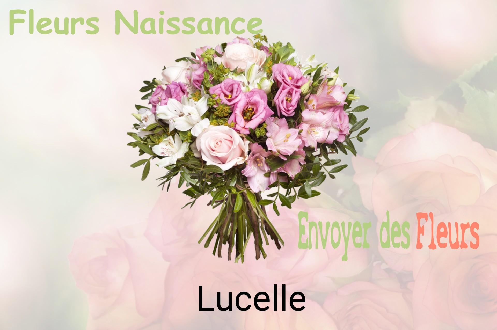 Bouquet de fleurs de naissance livré à Lucelle